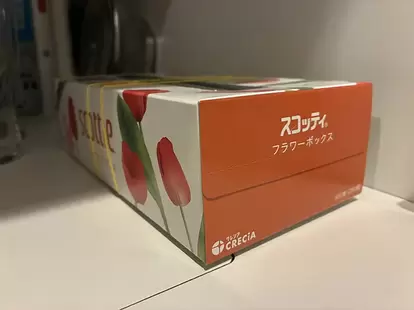 棚の中に置いた輪ゴムつき箱ティッシュ(撮影:grapeライフハック編集部)
