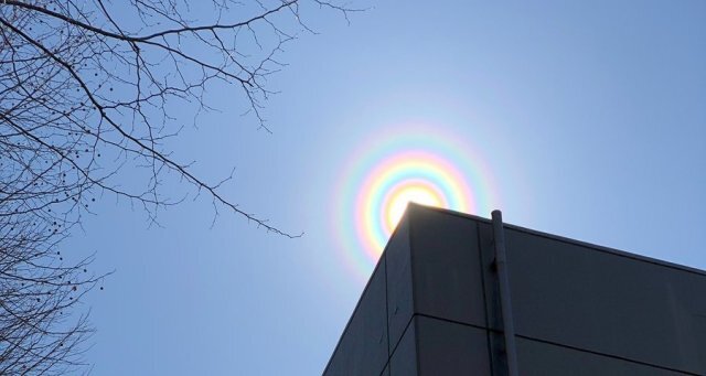 花粉による虹色リング「花粉光環」が多数観測される | ニコニコニュース