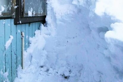 秋田 雪