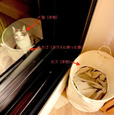 奇跡すぎる！（写真は蛇蔵さん提供。編集部でテキストを追加）