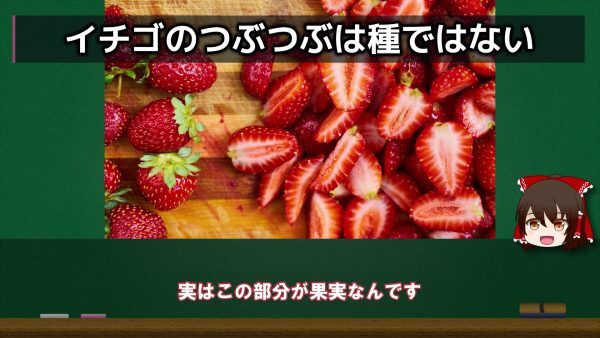 イチゴのツブツブの正体は“タネ”じゃなくて“茎”って知ってた