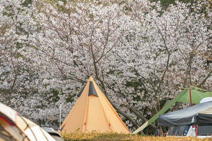 気温や天候が大きく変化する季節「春」のキャンプでの注意点