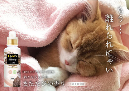 欲しい