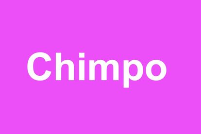 Chimpo