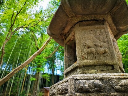 【おすすめお出かけスポットまとめ】奈良の自然や歴史、町の散策、カフェ、大人も子どもも1日中楽しめる！