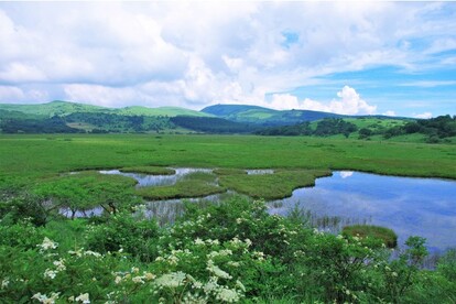 低山ならではの美しい景観があります 「低山ハイク編」では水がテーマの低山を訪れます