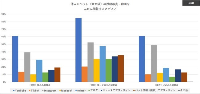 犬飼育派は 他人のペット 犬や猫 の投稿写真 動画を 猫飼育派より Instagram で閲覧する傾向 ニコニコニュース