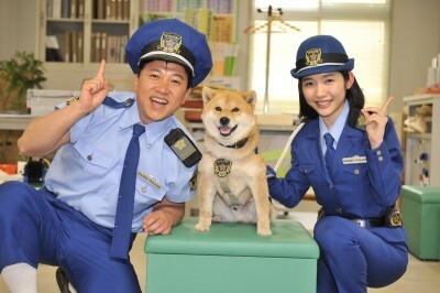 スギちゃんが算数で事件を解決 教育番組でも ワイルド が炸裂 ニコニコニュース スギちゃんが算数で事件を解決 教育番組でも ワイルド が炸裂 ニコニコニュース