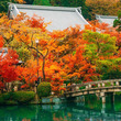 京都・永観堂の“秋”を収めた写真が美しい　燃えるような紅葉に「とっても綺麗」「行ってみたい」の声