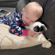 赤ちゃん「エヘヘ……（ぎゅっ）」　子猫をうっとり愛でる赤ちゃんの動画がかわいすぎる