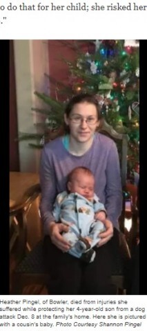 飼い犬に襲われた4歳息子を守った母親 両腕を噛みちぎられ8日後に死亡 米 ニコニコニュース