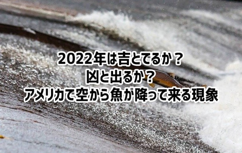 b828x800l.webp?key=
