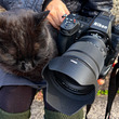 ニコンのハイエンドカメラ「Z 9」を持って広島・鞆の浦で猫撮影三昧(New!!)