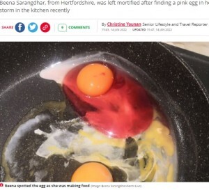 スーパーで買った卵の白身が鮮やかなピンク色 食べてもいいの と母驚愕 英 ニコニコニュース
