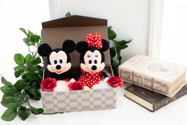 バレンタインギフトにもぴったりなぬいぐるみ タカラトミーアーツ ディズニー ピクサーキャラクター ニコニコニュース