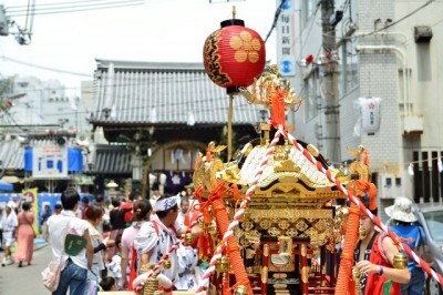 一風変わった全国の祭り達 御柱祭 がけを丸太の上に乗って駆け下りる 婿投げ 雪の中に婿が投げられる ニコニコニュース 一風変わった全国の祭り達 御柱祭 がけを丸太の上に乗って駆け下りる 婿投げ 雪の中に婿が投げられる ニコニコニュース