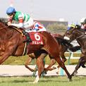 ベガ 競走馬 とは ベガとは 単語記事 ニコニコ大百科