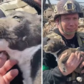 ウクライナで瓦礫の中から奇跡的に子犬を救出、飼い主に引き渡される