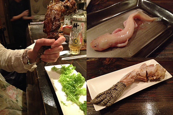 閲覧注意 ウーパールーパー ワニ ヤモリ 衝撃の 珍獣グルメ を食べてみた ニコニコニュース 閲覧注意 ウーパールーパー ワニ ヤモリ 衝撃の 珍獣グルメ を食べてみた ニコニコニュース