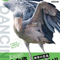 ハシビロコウが舞う！　飛ぶ！　走る！　ダイナミックな姿を集めた写真集『踊るハシビロコウ』が発売