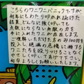 「無敵の力を手に入れたワニが存在します」　地元のワニワニパニックに誕生した“最強のワニ”に「笑った」「この世界感好き」の声