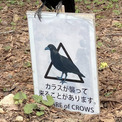 カラス注意の看板、様子がおかしい…　まさかの状況が「説得力ありすぎ」と話題に