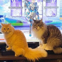 3匹の猫たち、飼い主がゲームを始めると「生まれるその団結力何なん」　鮮やかな連携プレーのネコハラがうらやましい