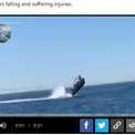ホエールウォッチング中にクジラと衝突　観光客が船外に投げ出される（メキシコ）＜動画あり＞