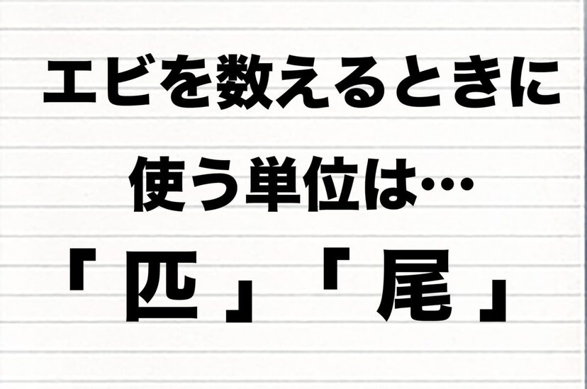 エビの数え方は 匹 と 尾 どっち 状況によって変わることもあるようで ニコニコニュース