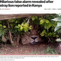「庭にライオンがいる」　通報で駆けつけた動物管理官、正体を知り唖然（ケニア）