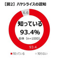 ガパオライスよりも存在感が薄い？　ハウス食品がハヤシライスに関する意識調査