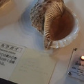 「どうぞ好きなだけ鳴らしてください」　大阪市立自然史博物館のホラガイ展示、法螺の音が聴けるように自作