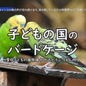 横浜「こどもの国」の動物園でバードケージに入ってみた！ インコとカモやオシドリが一緒にいる空間が鳥好きにはたまらなく良き