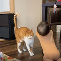 赤ちゃんと遊ぶ猫、飛んだおもちゃを……　手が届くところに置いて自分で取らせる姿に「優しくて賢い」「教育している！」の声