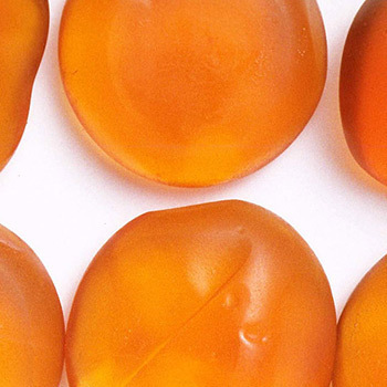 閲覧注意 お菓子っぽい虫をまとめてみた ニコニコニュース 閲覧注意 お菓子っぽい虫をまとめてみた ニコニコニュース