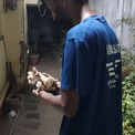 井戸に2日間閉じ込められた子猫を救助　そばで待っていた母猫との再会に感動する【インド】