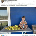 マックのチーズバーガーを31個注文した2歳児、母親は「スマホのロックを忘れた」と後悔（米）