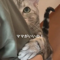 猫「ママがいいの！」　飼い主さんに抱きつき、必死にしゃべる姿が「ネコの言葉理解出来てしまった…」と話題に