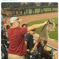 “アライグマ男”　野球場に現れた野生の珍客を素手で捕まえる（米）＜動画あり＞