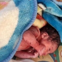 ゴミ収集箱に生きたまま捨てられた赤ちゃん、収集作業員がレジ袋の中から発見（イラン）
