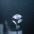 100円ショップの造花に思わずうっとり……　幻想的な美しさの写真に「本当に綺麗」「撮り方でこんなに変わるんだ」
