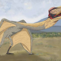 広げた翼は9メートル、新種の巨大翼竜の化石が発見され「死のドラゴン」と名付けられる