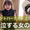 愛犬をペットサロンに預けると、もう会えないと勘違いした2歳娘が……　大号泣する姿に「愛ですね」「いじらしさがたまりません」の声