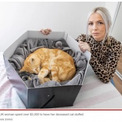 亡き愛猫を67万円かけて剥製にした女性「これからも永遠に一緒」（スコットランド）