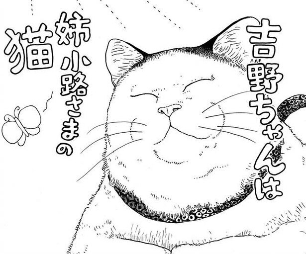 漫画 猫とはまこと 何を考えておるのだろう フワフワの座布団より猫の心を掴んだのは 猫奥 3 ニコニコニュース