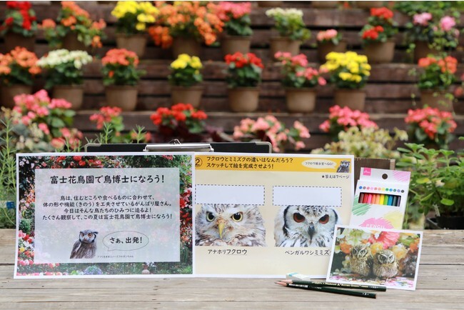 富士花鳥園 朝霧高原 の夏休み１ 君も鳥博士 とりはかせ になろう ニコニコニュース