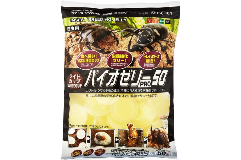 昆虫採集 飼育グッズ おすすめ 子供と一緒に夏を楽しもう ニコニコニュース