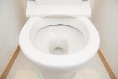 不潔 約7割の女性は トイレの便座をあげっぱなしにする男性がイヤ ニコニコニュース 不潔 約7割の女性は トイレの便座をあげっぱなしにする男性がイヤ ニコニコニュース