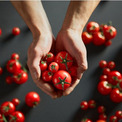 厳選されたトマトのみを取り扱うトマト専門店「TOMAJIN」が6月7日(水)より新宿伊勢丹地下1F催事スペースにてPOPUP STOREを開催！(New!!)