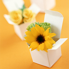 広島県出身の芸能人 人気ランキング 3位 Perfume 2位 ポルノグラフィティ 1位は ニコニコニュース